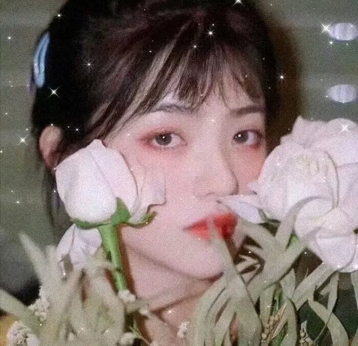 我立于百万生命之上第一季